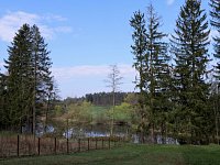 Pohled na Jezinský rybník od východu
