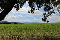 Šumava z cesty do Janovic