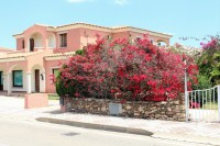 San Teodoro, bougainvillea