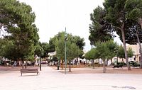 Placa dels Pins, náměstí s borovicemi