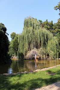 Teplice, záběr z parku