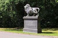Lev na jižní straně parku