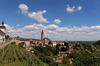 Údolí Vrchlice a vinice