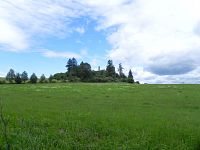 Pohled na Velký Bühl z cesty na Hartenštejn