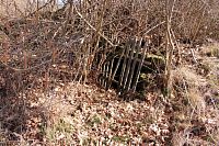 Zapomenutá studánka