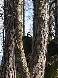 Hra přírody ještě jednou