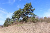 Vrchol nad vodojemem