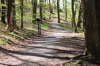 Cesta v dolní části parku