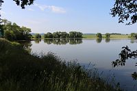 Pohled na JZ okraj rybníku