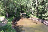 Řeka Úhlava nad přehradou