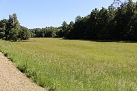 Přírodní rezervace Úhlavský luh.