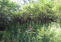 Křížek nedaleko památných stromu