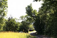 Pohled na dub z druhé strany