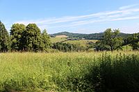 Pohled od dubu k východu