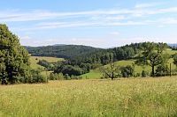 Pohled od dubu k východu