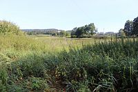 Rybník Malá Strana