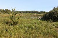 Malá Strana, pohled přes rybník k severu