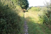 Cesta na hranici rezervace