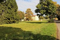 Zeleň v okolí osady