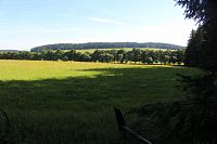 Louky v okolí osady