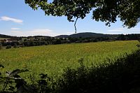 Louky v okolí osady