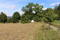 Pohled na jasany nad kaplí