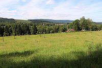 Nově vysázený sad