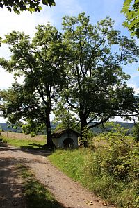 Staré jasany a kaple