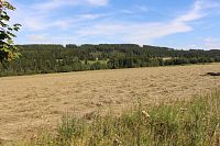 Svinenský vrch od Gerlova dvoru