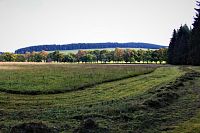 Pohled na alej z louky pod horou Javornou