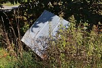 Trs kopřiv u studánky