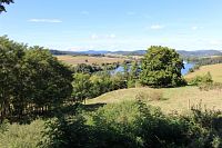 Pohled na svah nad rybníkem