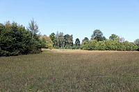 Louka v okolí vísky