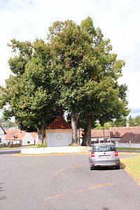 Lípy  u kaple