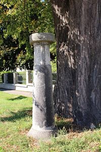 Kamenný rozcestník a kmen památné lípy