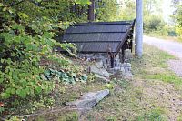 Studánka a vysazené rostliny