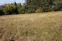 Celkový pohled na louku