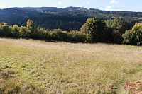 Pohled na louku od silnice, v pozadí hora Ždánov