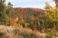 Podzimní toulání Budětickou vrchovinou.