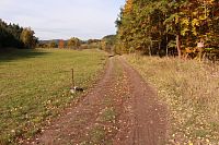 Cesta při okraji lesa