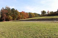 Louka v okolí sedla