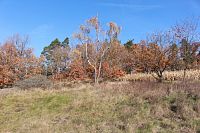 Pohled na Hůrku od vsi