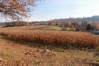 Areál dětského domu Petra