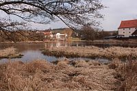 Mlýnský rybník, pohled z hráze
