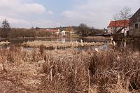 Pohled k zámecké zahradě