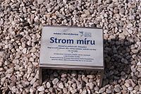 Strom míru