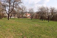 Třešňový sad a  kostel sv. Blažeje