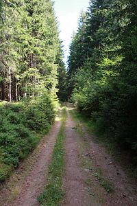 Cesta k mokřadům