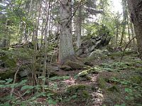 Skála nad stezkou