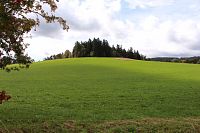 Hamižná